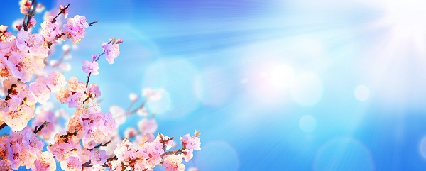 戰(zhàn)疫情，北京韋林公司全體員工齊心協(xié)力共克時(shí)艱！